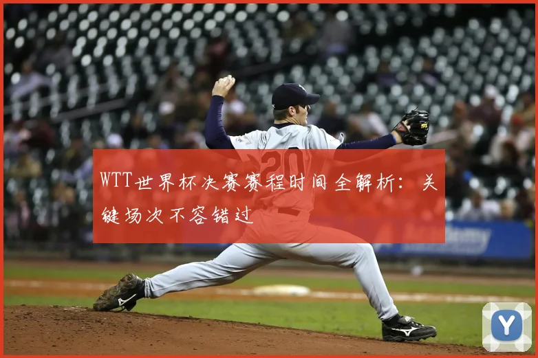 WTT世界杯决赛赛程时间全解析:关键场次不容错过