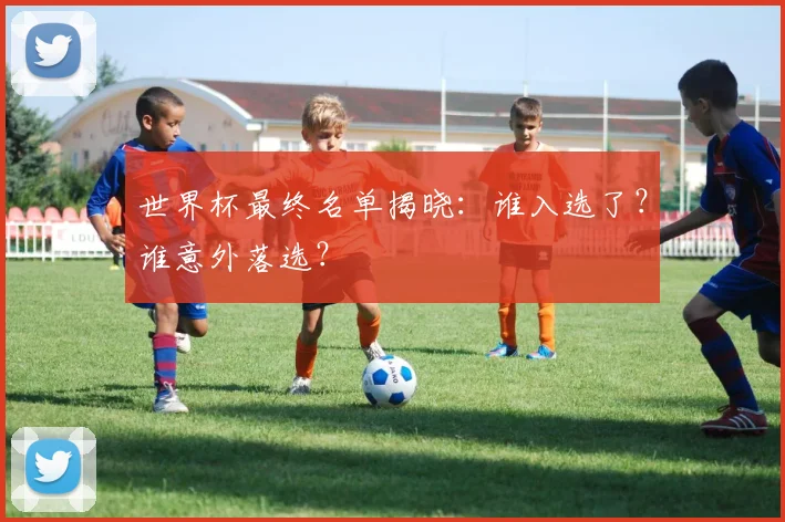 世界杯最终名单揭晓：谁入选了？谁意外落选？